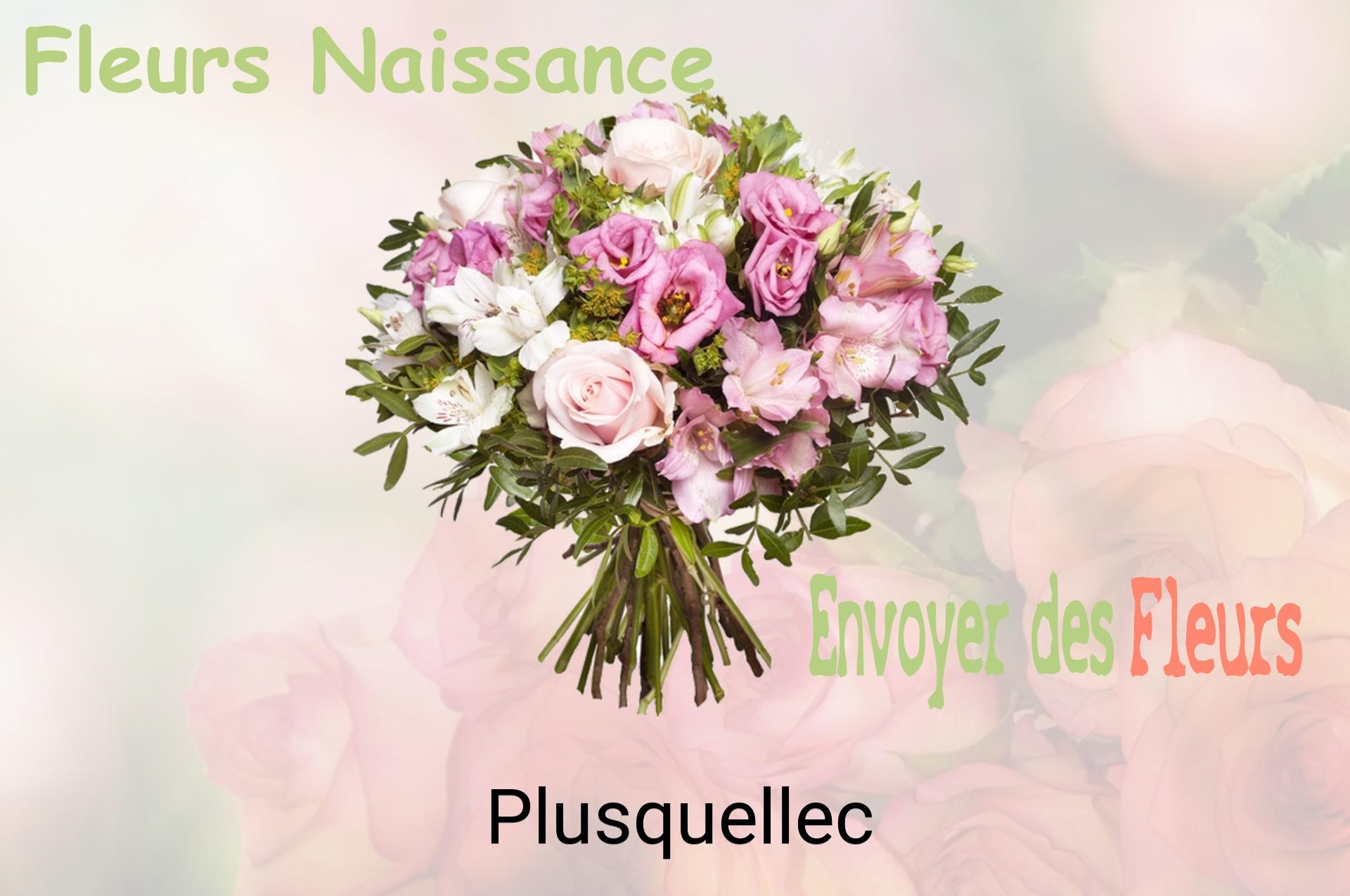 Bouquet de fleurs de naissance livré à Plusquellec